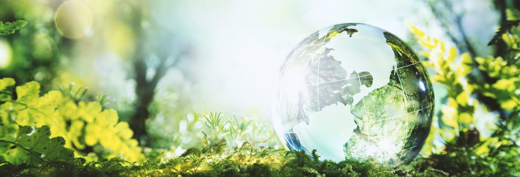 Great Earth banner - Isblå helsekost