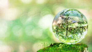 Liten glassjord ute i naturen