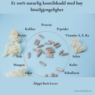 Kapsler med Áhppi tørket reinlever på blå bakgrunn, omgitt av tekst som viser næringsstoffer (protein, jern, vitamin A, B12, omega-3).