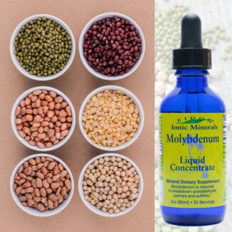 Flaske med Eidon Molybden flytende mineraltilskudd 60 ml i blå pipetteflaske mot bønner, linser, kornprodukter