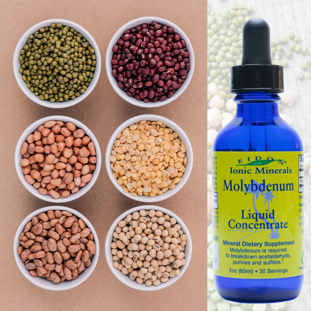 Flaske med Eidon Molybden flytende mineraltilskudd 60 ml i blå pipetteflaske mot bønner, linser, kornprodukter