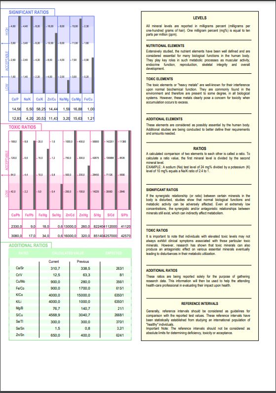 Hårmineralanalyse med rapport for hund - Bilde 5