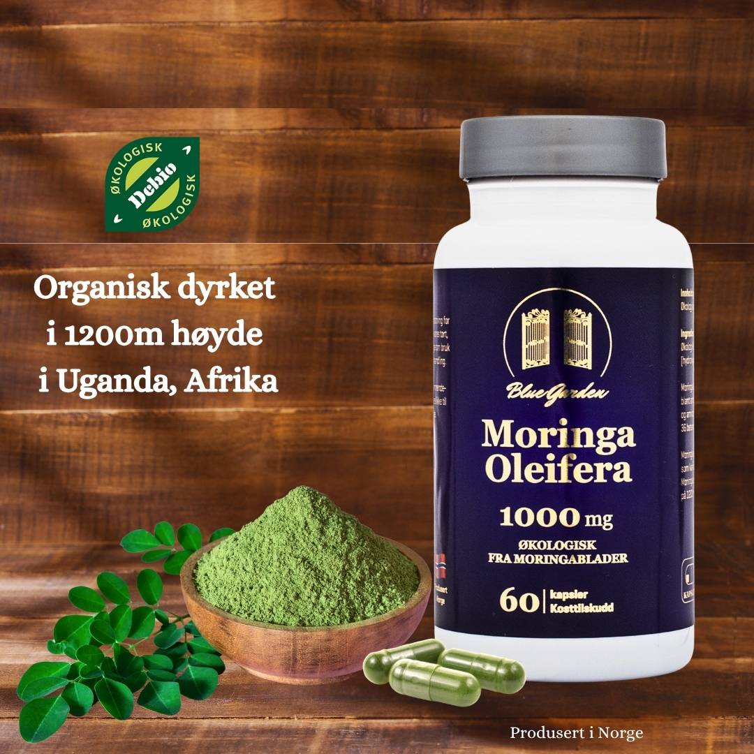 Boks med Blue Garden Moringa Oleifera 1000 mg – 60 økologiske kapsler.
